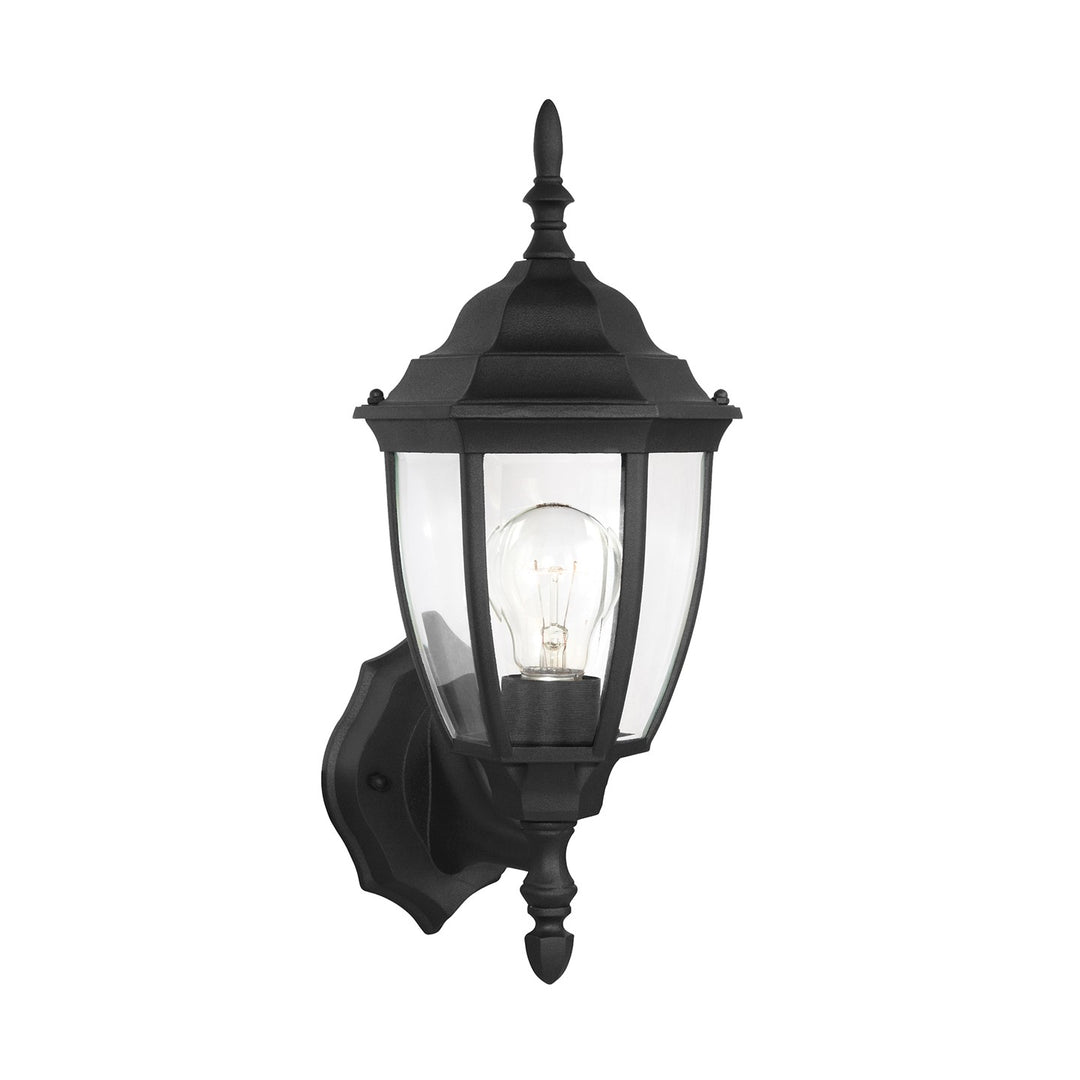 Bakersville One Light Outdoor Wall Lantern in Black - available from The Lighting Shoppe, trusted by Canadian homeowners