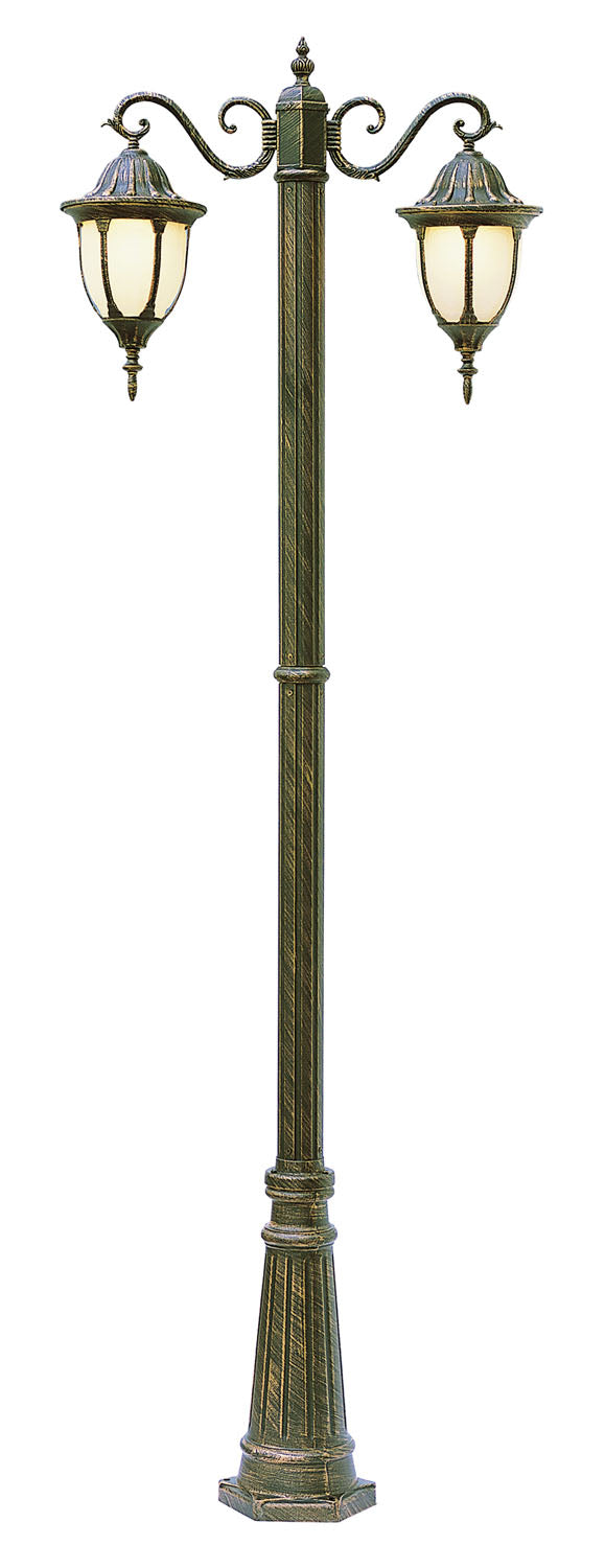 Hamilton Two Light Pole Light in Black Copper - available from The Lighting Shoppe, trusted by Canadian homeowners