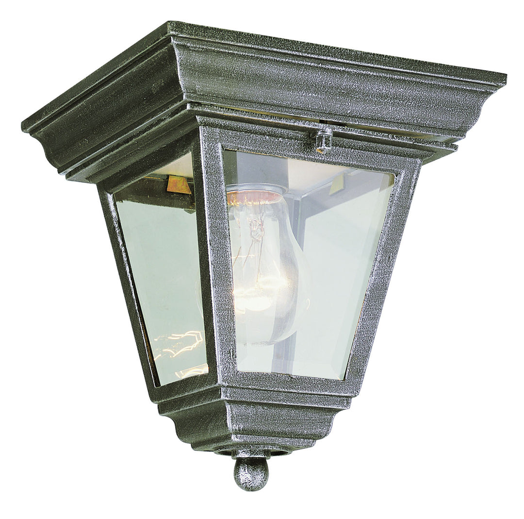 Robertson One Light Flushmount Lantern in Swedish Iron - available from The Lighting Shoppe, trusted by Canadian homeowners