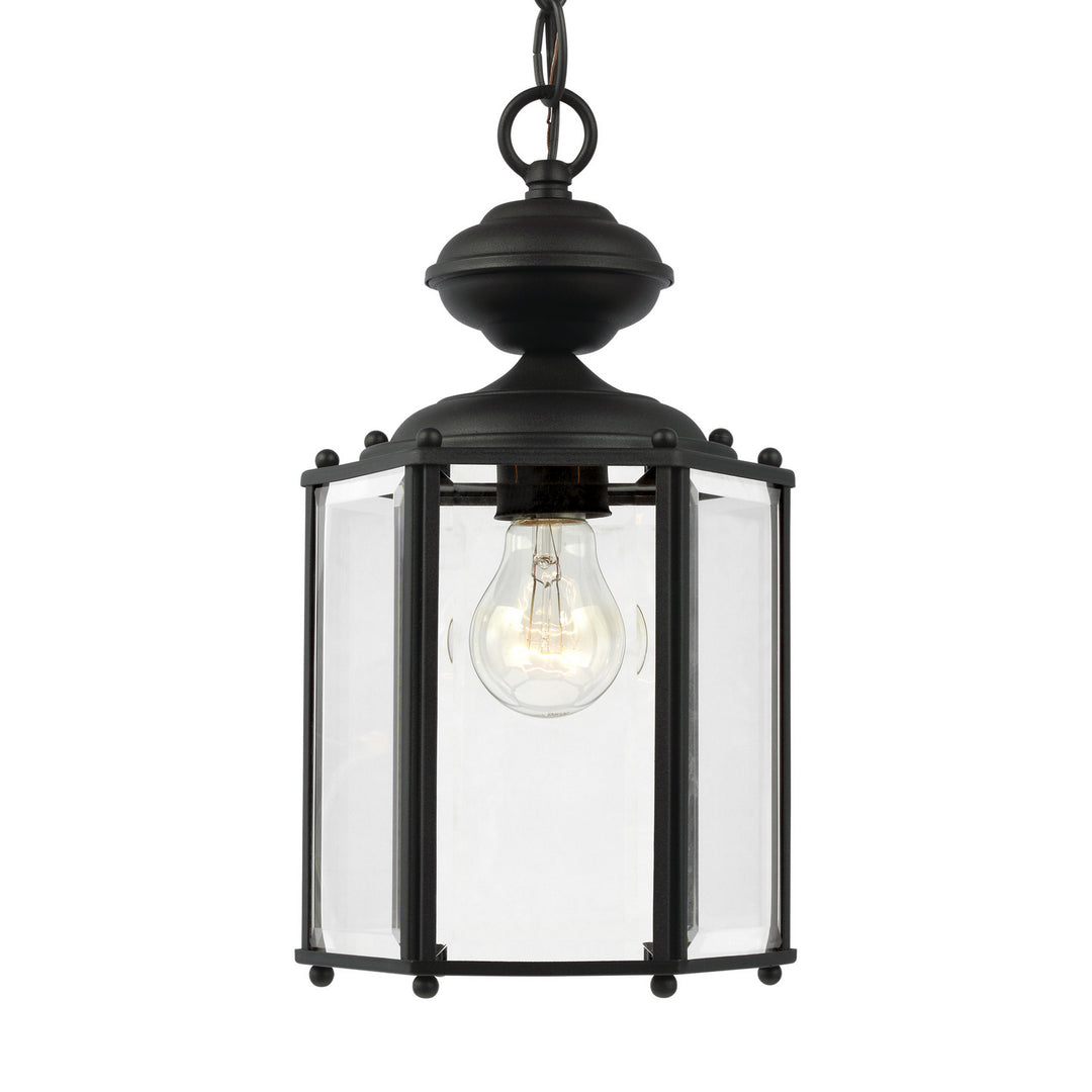 Generation Lighting Canada - 6008-12 - One Light Outdoor Semi-Flush Convertible Pendant - Classico - Black