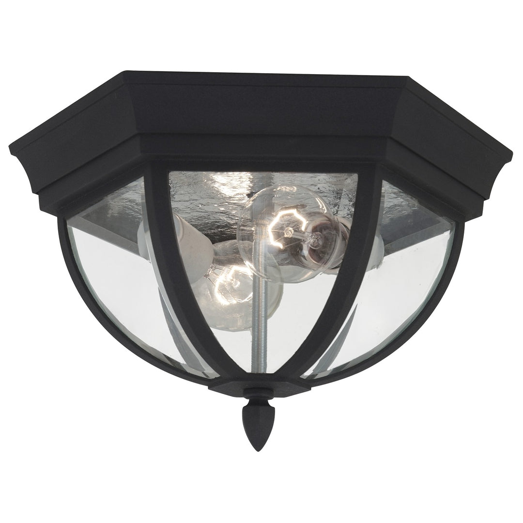 Generation Lighting Canada - 78136-12 - Two Light Outdoor Flush Mount - Wynfield - Black