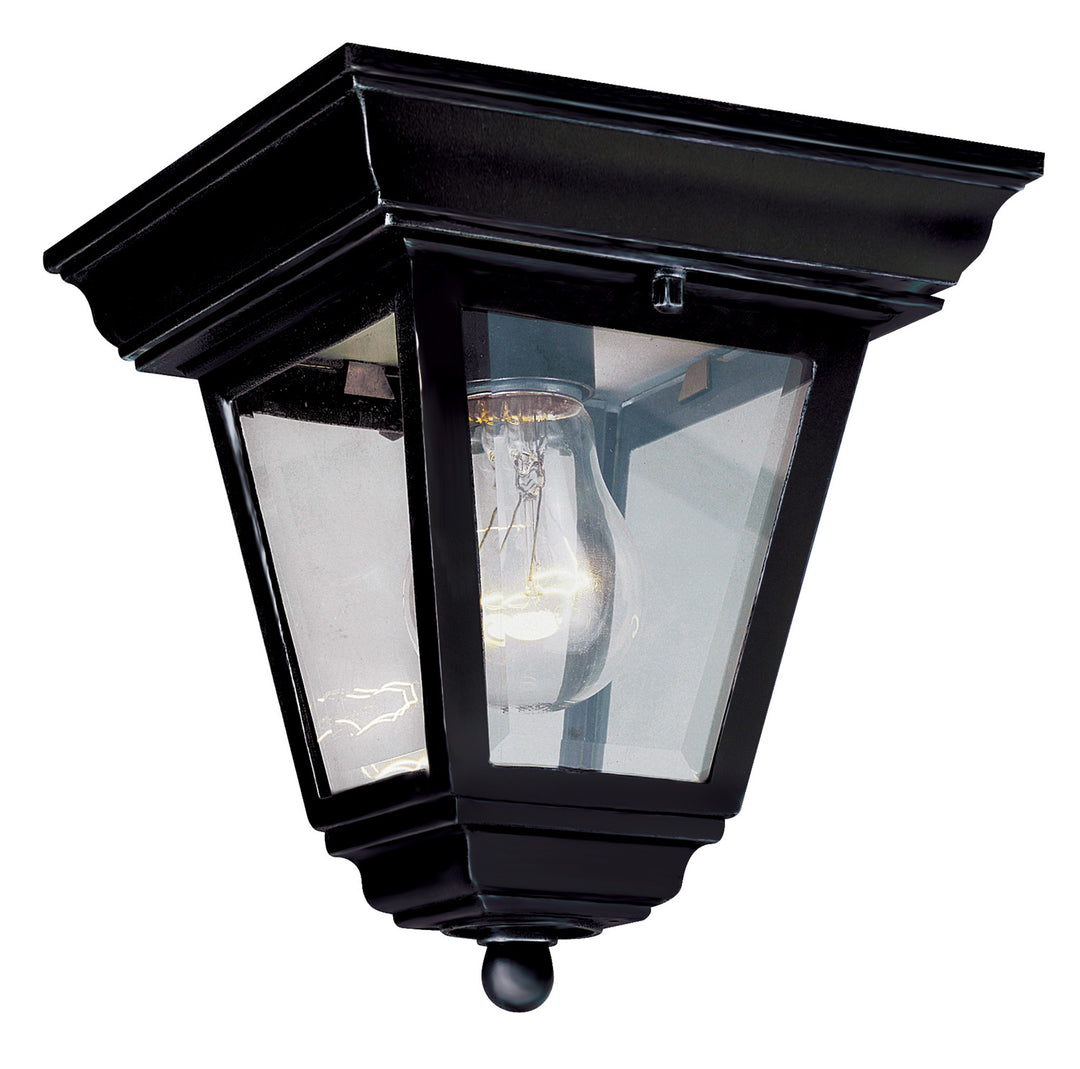 Robertson One Light Flushmount Lantern in Black - available from The Lighting Shoppe, trusted by Canadian homeowners