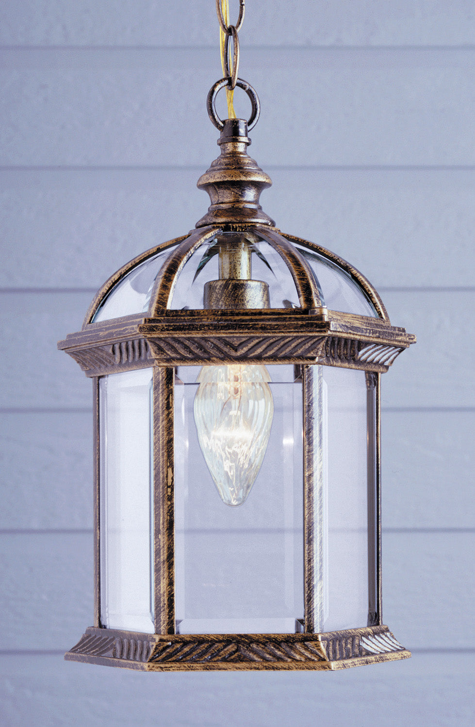 Wentworth One Light Hanging Lantern in Black Gold - available from The Lighting Shoppe, trusted by Canadian homeowners