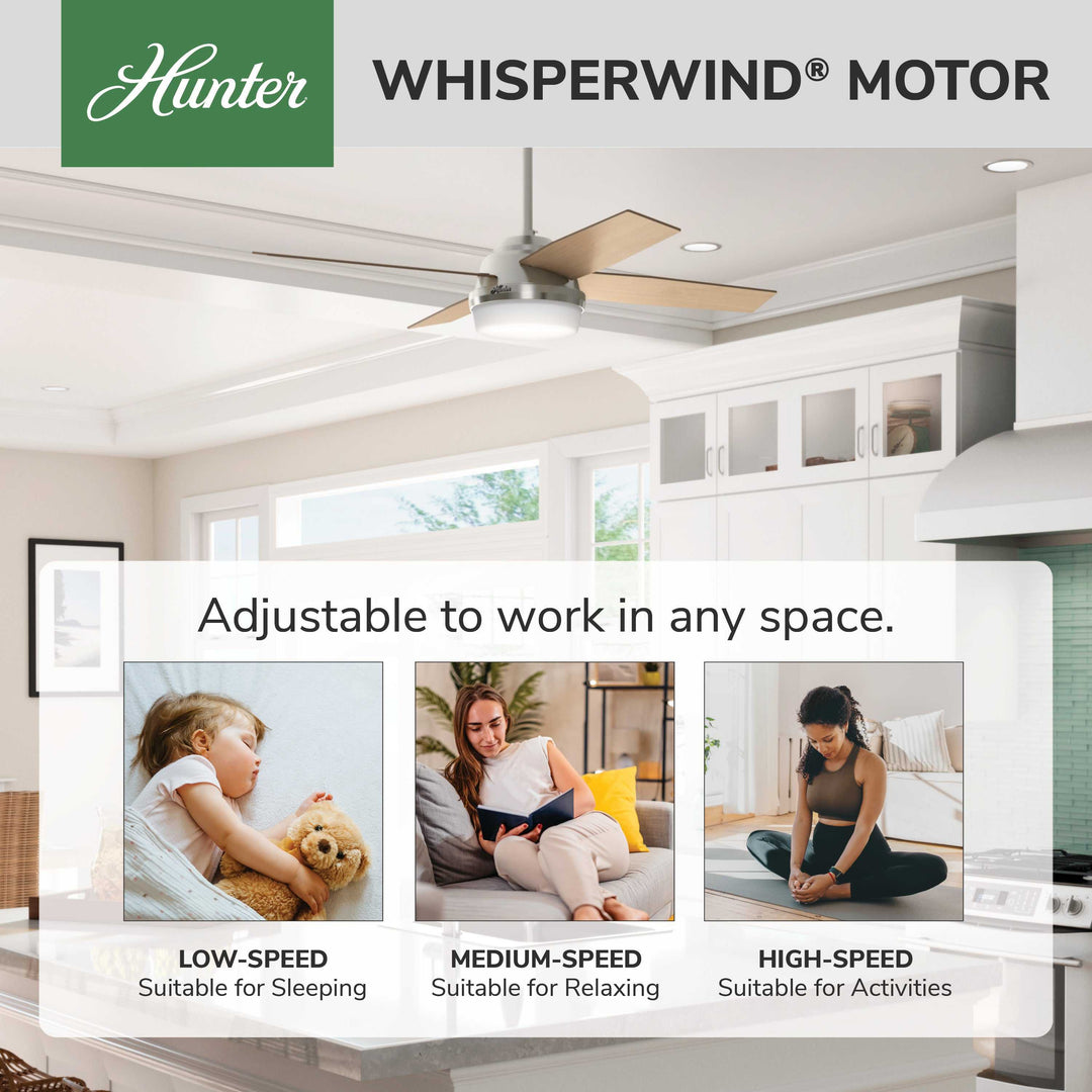 Dempsey with Light 52 inch Hunter Fan Canada