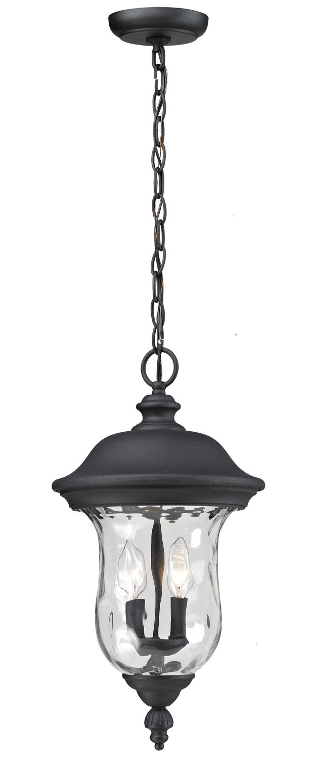 Armstrong Two Light Outdoor Chain Mount Ceiling Fixture in Black - available from The Lighting Shoppe, trusted by Canadian homeowners