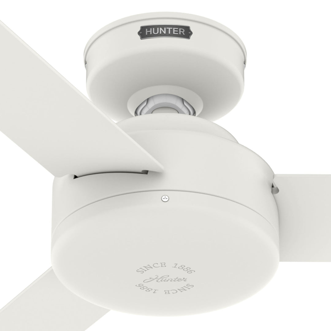 Presto 52 inch Hunter Fan Canada