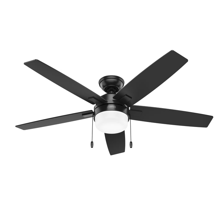 Anisten with LED Light 52 inch Hunter Fan Canada