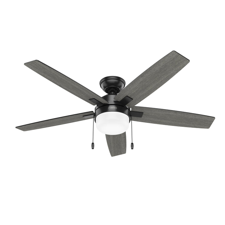 Anisten with LED Light 52 inch Hunter Fan Canada