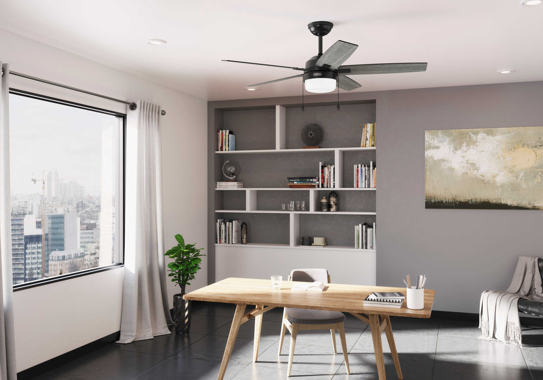 Anisten with LED Light 52 inch Hunter Fan Canada