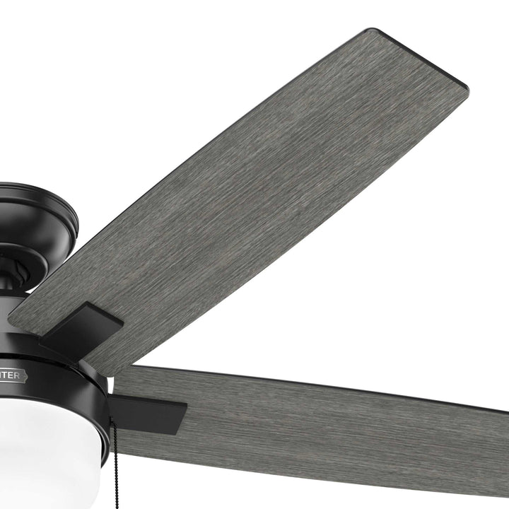 Anisten with LED Light 52 inch Hunter Fan Canada