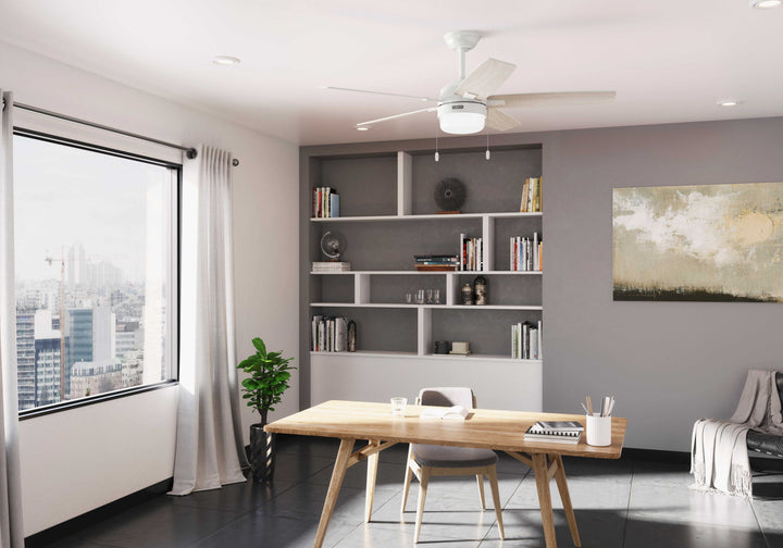 Anisten with LED Light 52 inch Hunter Fan Canada