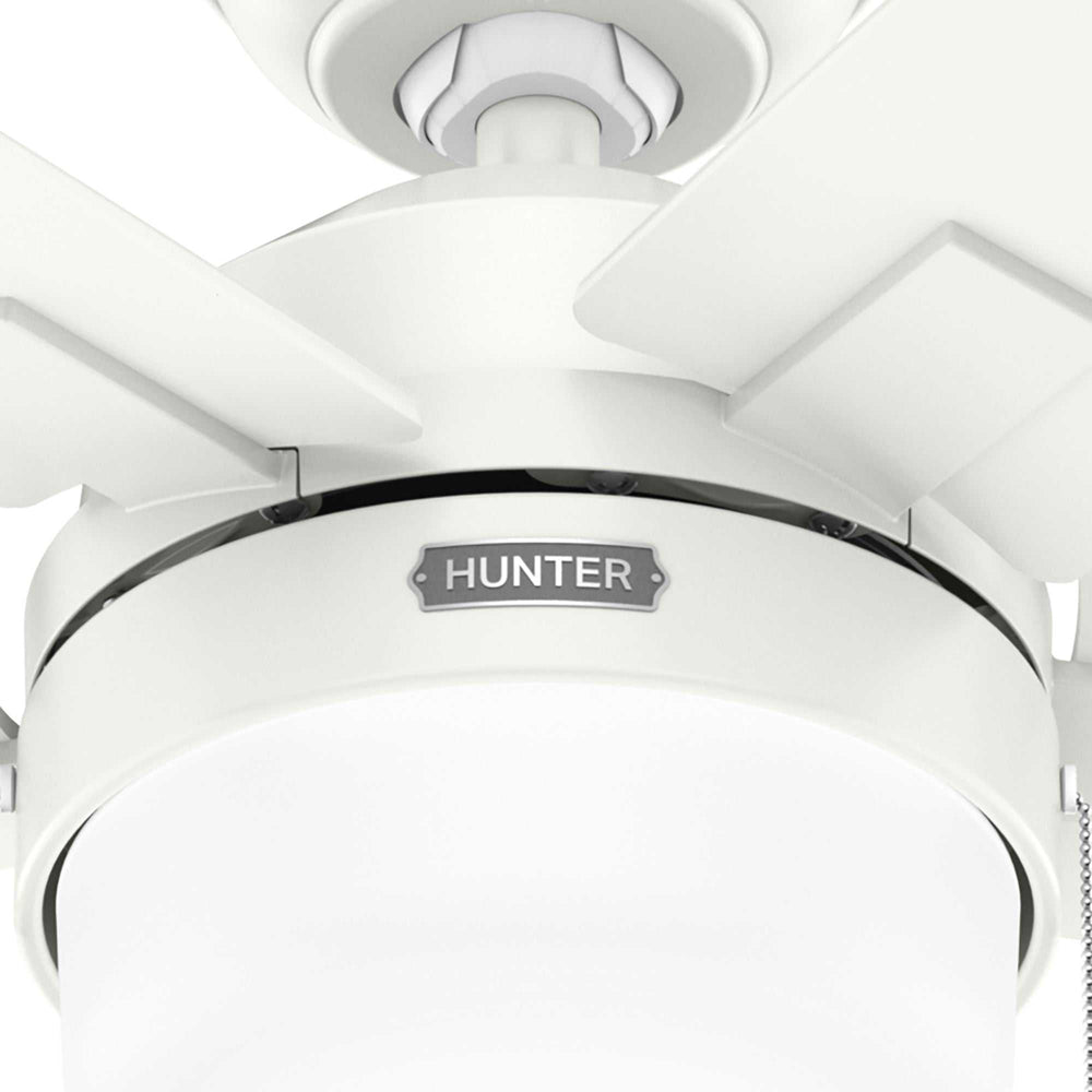 Anisten with LED Light 52 inch Hunter Fan Canada