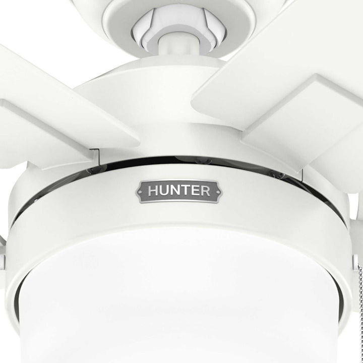 Anisten with LED Light 52 inch Hunter Fan Canada