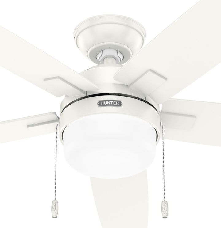 Anisten with LED Light 52 inch Hunter Fan Canada