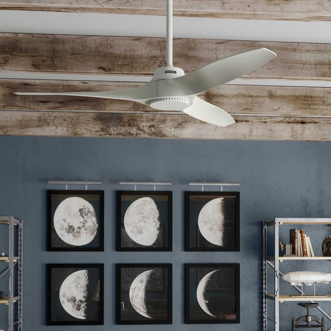 Mosley Outdoor 52 inch Hunter Fan Canada