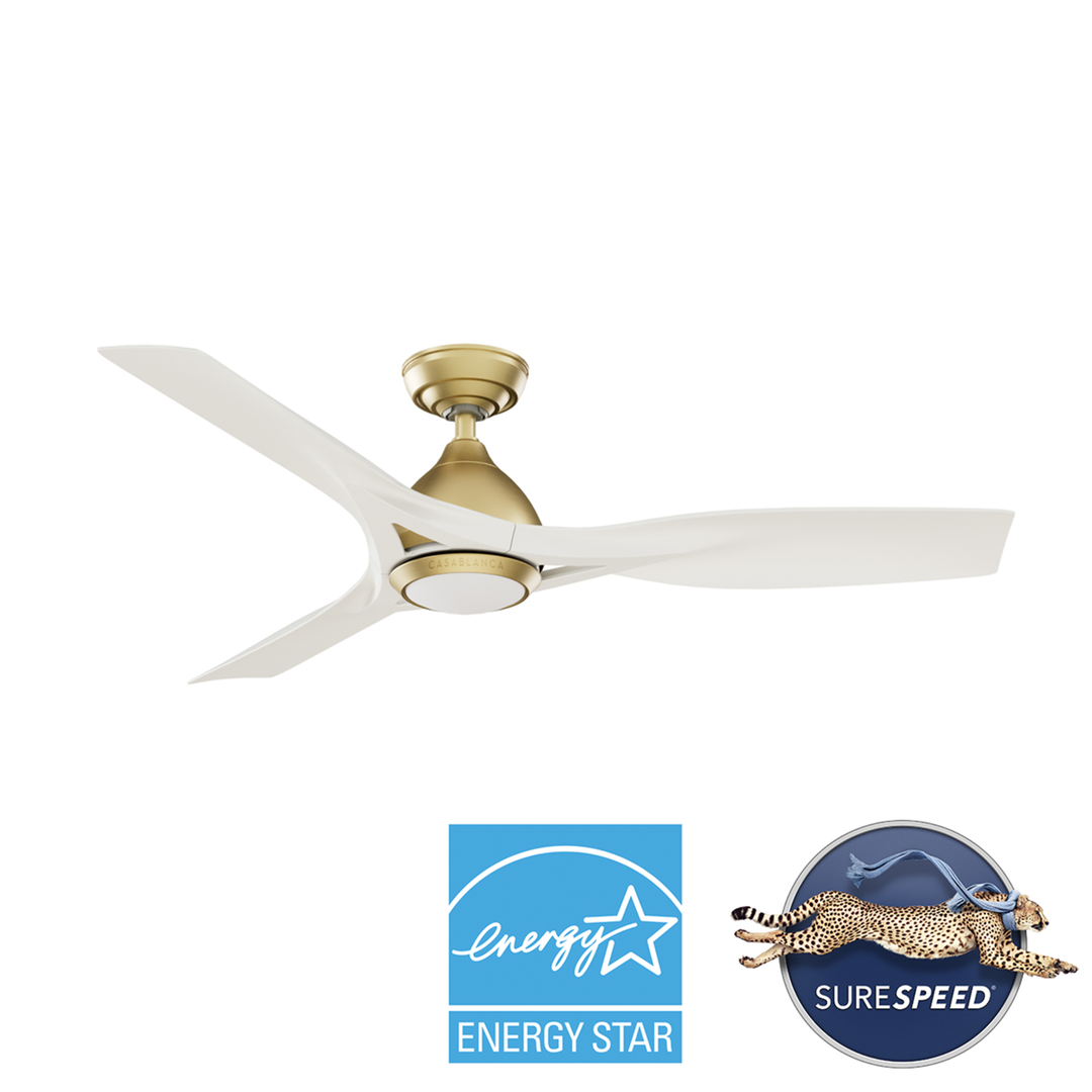 Elise Outdoor ENERGY STAR DC with LED Light 54 inch with remote and wall control Hunter Fan Canada