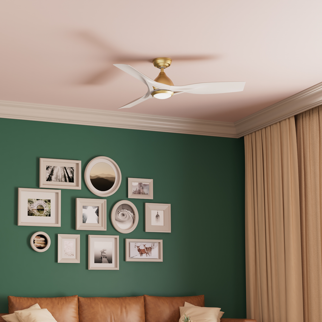 Elise Outdoor ENERGY STAR DC with LED Light 54 inch with remote and wall control Hunter Fan Canada