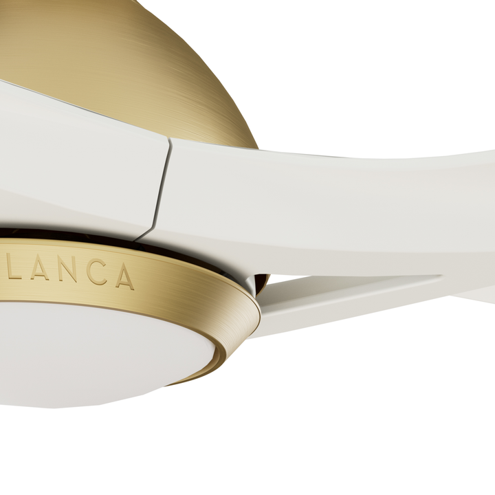 Elise Outdoor ENERGY STAR DC with LED Light 54 inch with remote and wall control Hunter Fan Canada