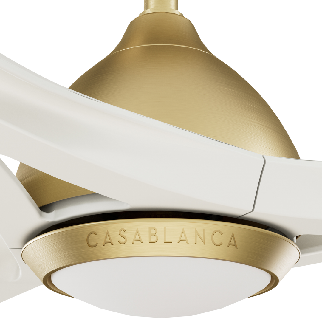 Elise Outdoor ENERGY STAR DC with LED Light 54 inch with remote and wall control Hunter Fan Canada