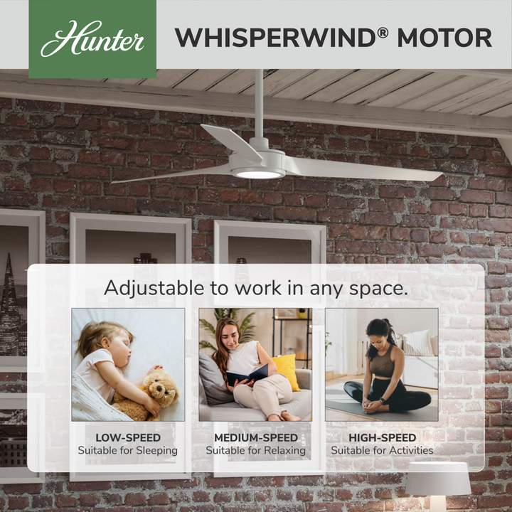 ZenTech 3 Blade Outdoor Smart Fan 52 inch Hunter Fan Canada