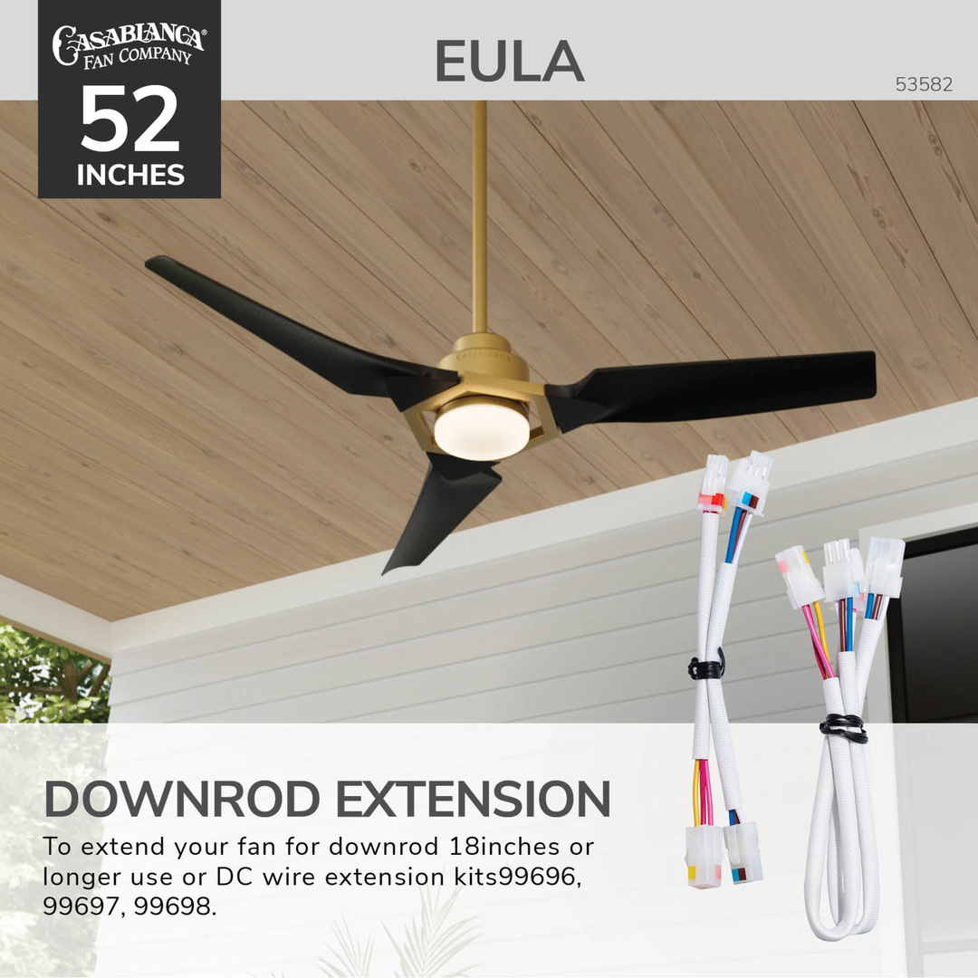 Eula Outdoor ENERGY STAR DC with LED Light 52 inch with remote and wall control Hunter Fan Canada