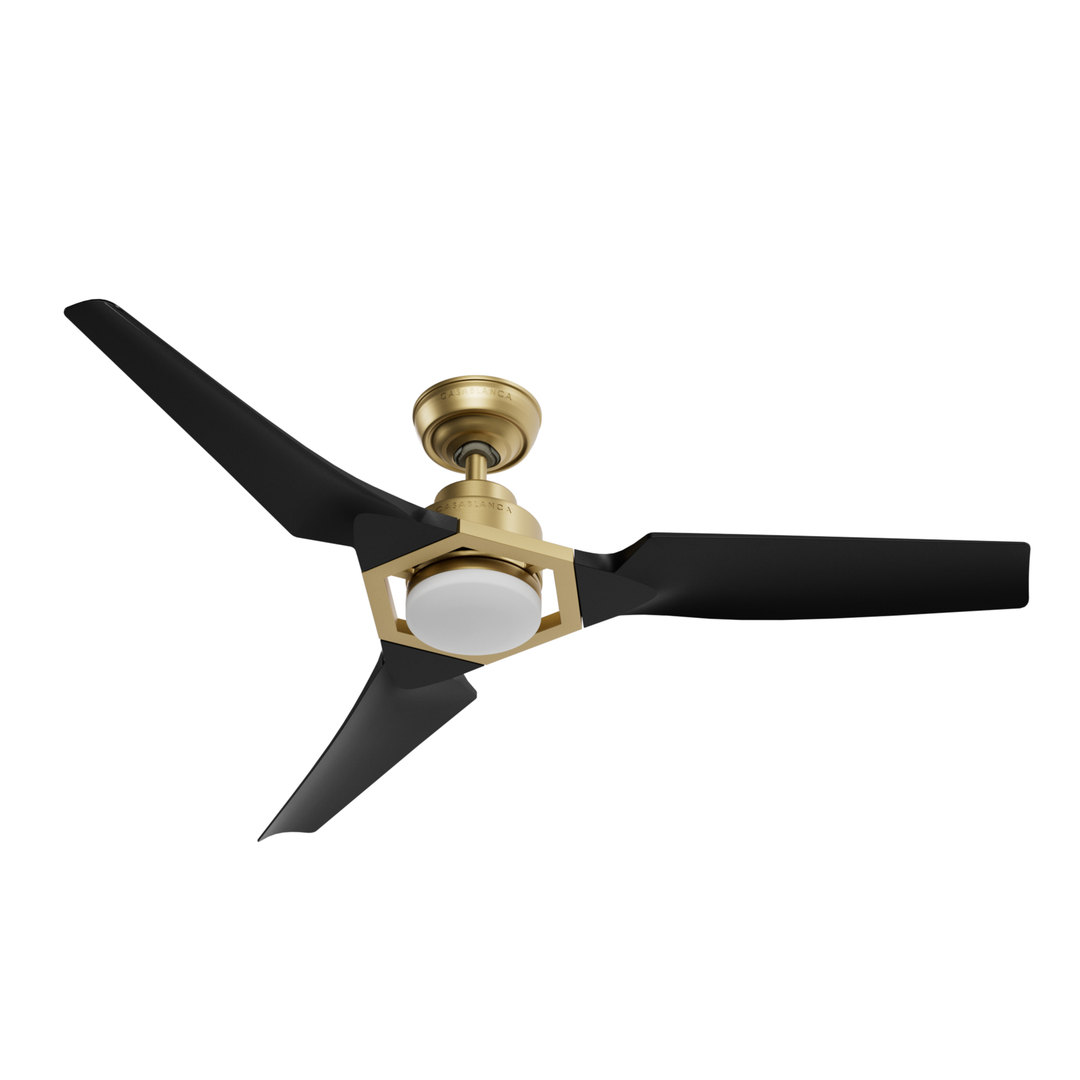 Eula Outdoor ENERGY STAR DC with LED Light 52 inch with remote and wall control Hunter Fan Canada