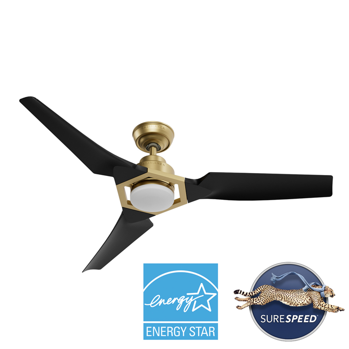 Eula Outdoor ENERGY STAR DC with LED Light 52 inch with remote and wall control Hunter Fan Canada
