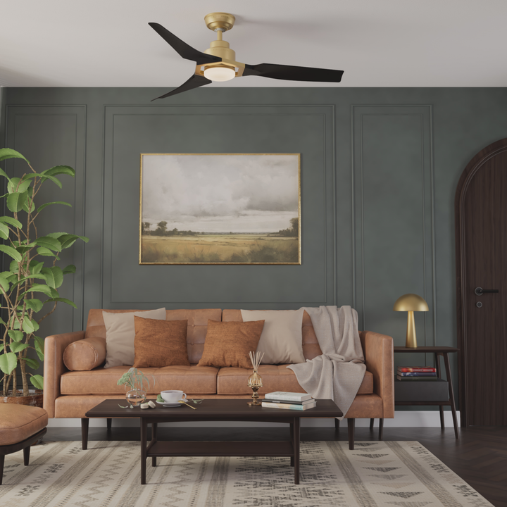 Eula Outdoor ENERGY STAR DC with LED Light 52 inch with remote and wall control Hunter Fan Canada