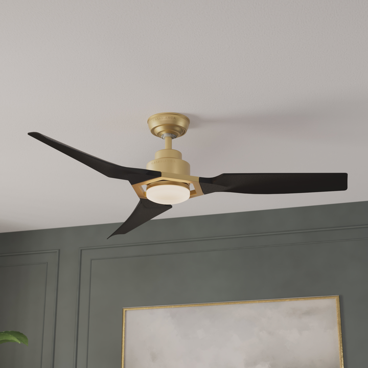 Eula Outdoor ENERGY STAR DC with LED Light 52 inch with remote and wall control Hunter Fan Canada
