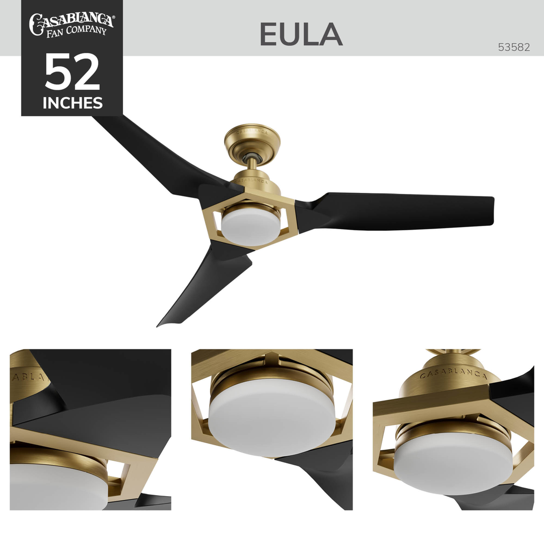 Eula Outdoor ENERGY STAR DC with LED Light 52 inch with remote and wall control Hunter Fan Canada