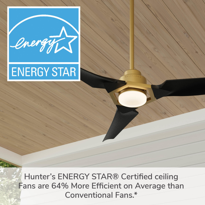 Eula Outdoor ENERGY STAR DC with LED Light 52 inch with remote and wall control Hunter Fan Canada