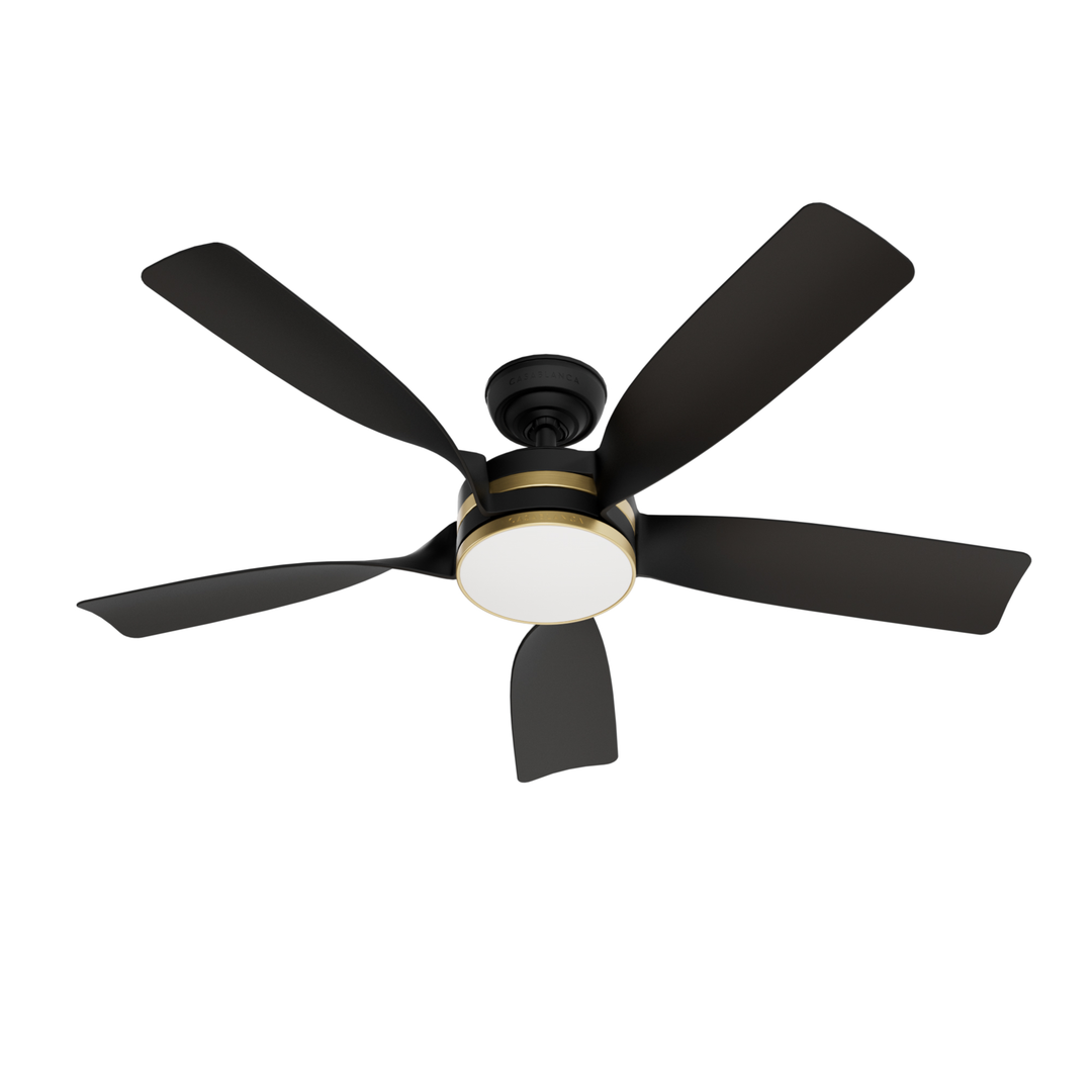 Julia Outdoor Energy Star DC with LED Light 54 inch with remote and wall control Hunter Fan Canada