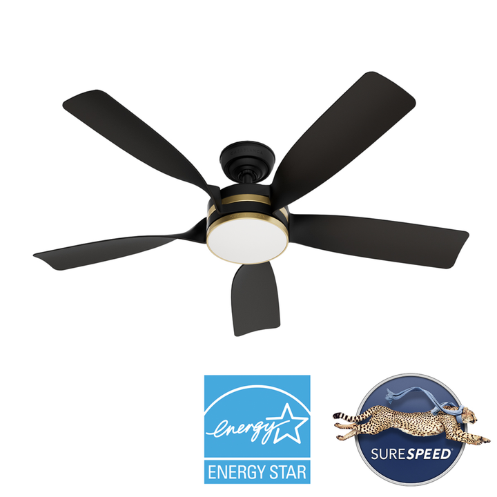 Julia Outdoor Energy Star DC with LED Light 54 inch with remote and wall control Hunter Fan Canada