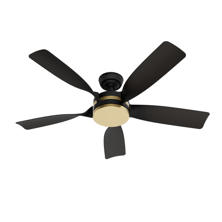 Julia Outdoor Energy Star DC with LED Light 54 inch with remote and wall control Hunter Fan Canada