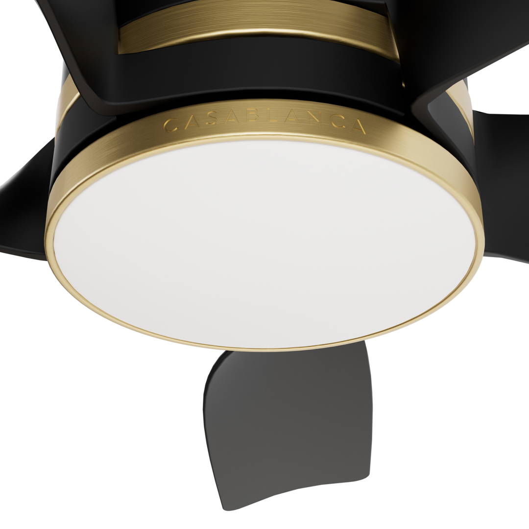 Julia Outdoor Energy Star DC with LED Light 54 inch with remote and wall control Hunter Fan Canada