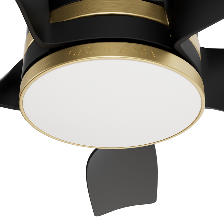 Julia Outdoor Energy Star DC with LED Light 54 inch with remote and wall control Hunter Fan Canada