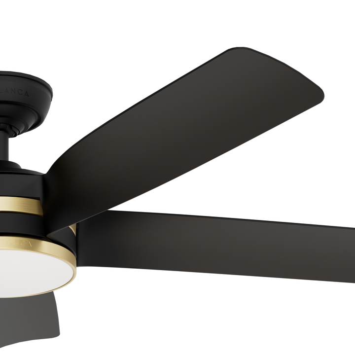 Julia Outdoor Energy Star DC with LED Light 54 inch with remote and wall control Hunter Fan Canada