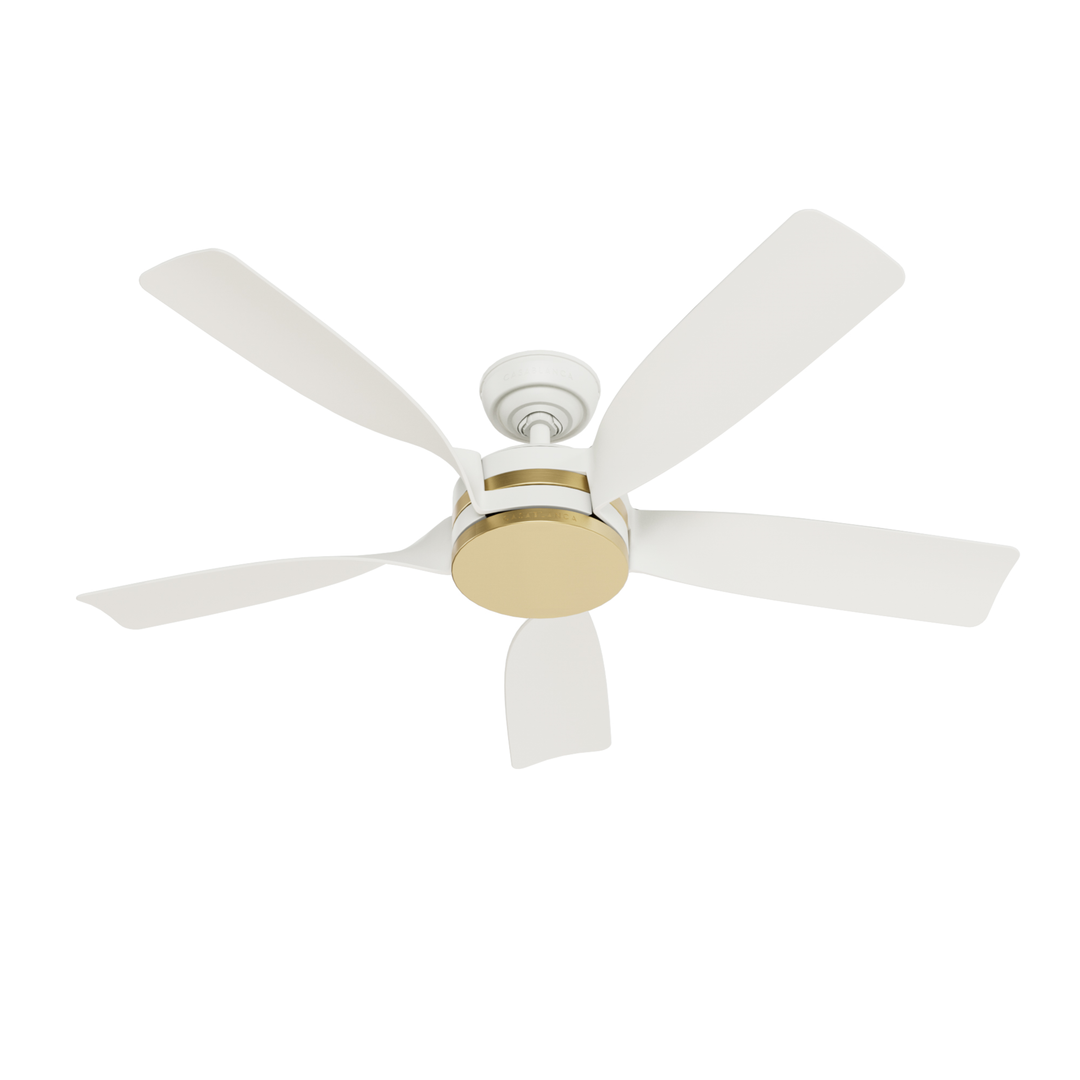 Julia Outdoor Energy Star DC with LED Light 54 inch with remote and wall control Hunter Fan Canada