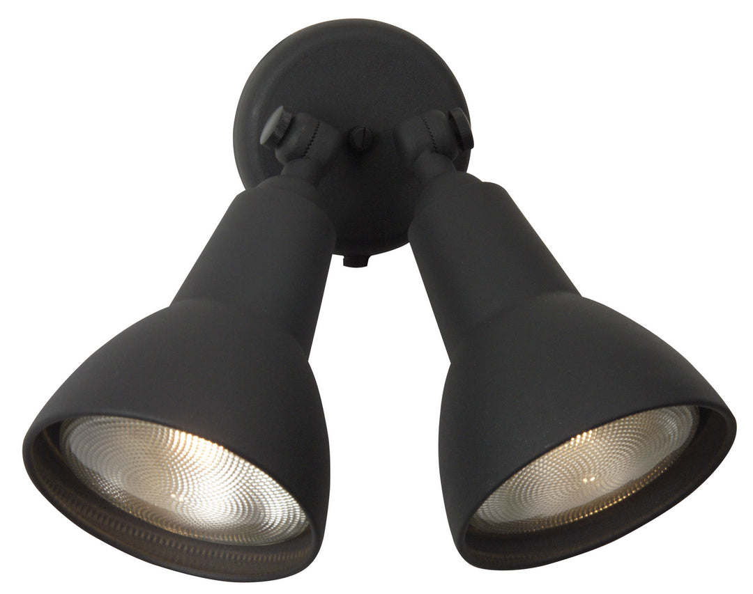 Cast Two Light Directional Bullet in Textured Black - available from The Lighting Shoppe, trusted by Canadian homeowners