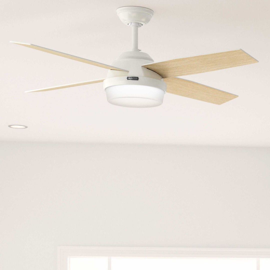 Dempsey with Light 52 inch Hunter Fan Canada