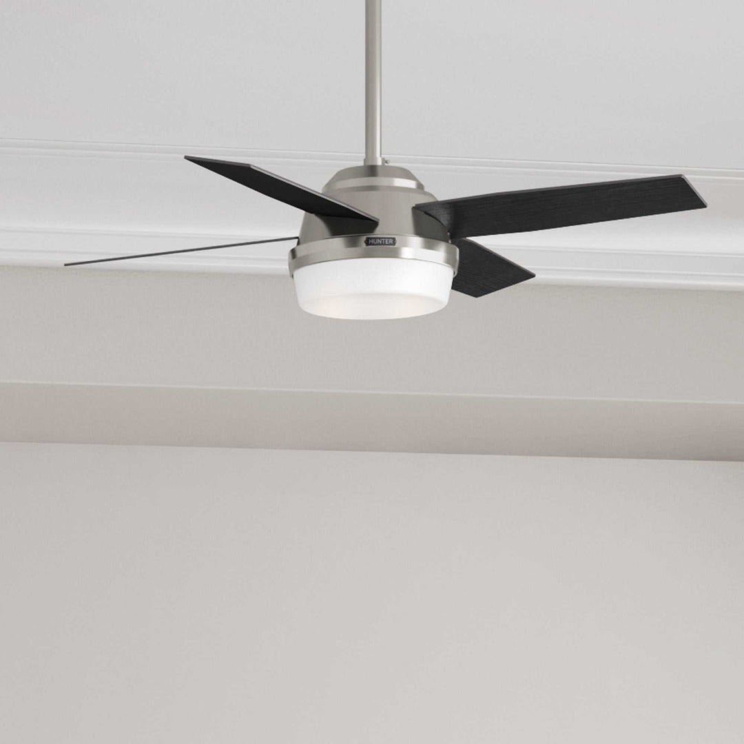 Dempsey with LED Light 44 inch Hunter Fan Canada