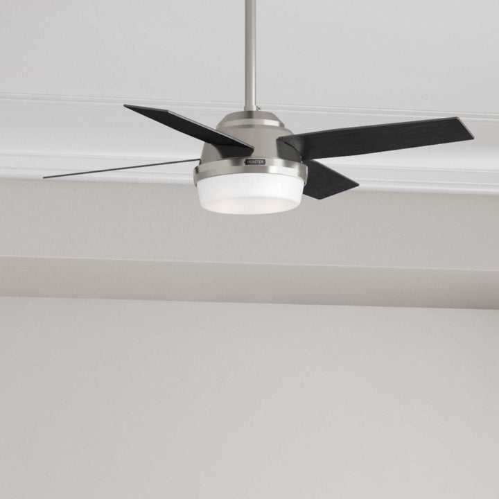 Dempsey with LED Light 44 inch Hunter Fan Canada