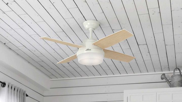 Dempsey with LED Light 44 inch Hunter Fan Canada