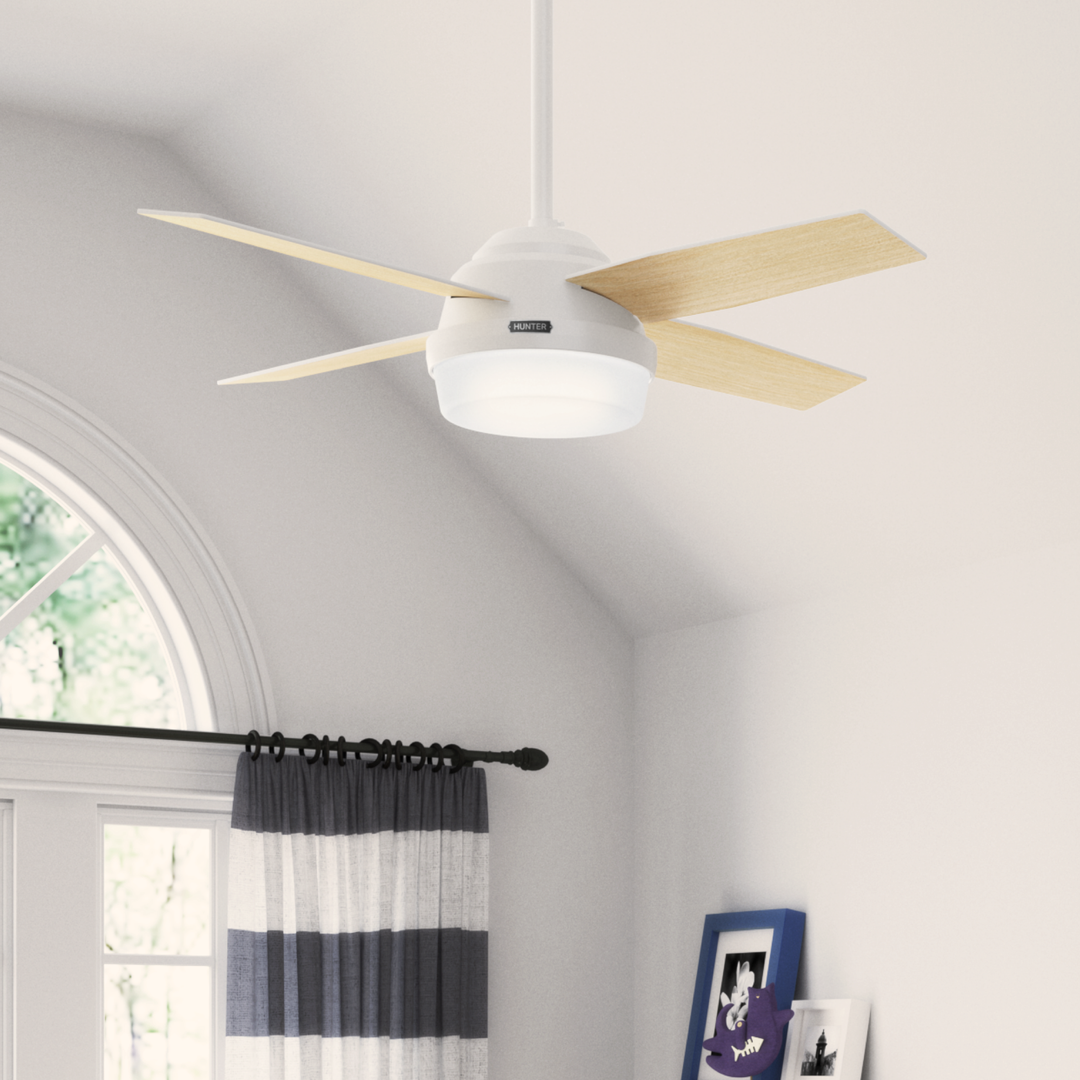 Dempsey with LED Light 44 inch Hunter Fan Canada