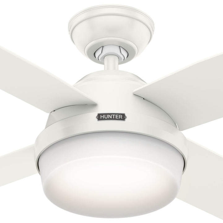 Dempsey with LED Light 44 inch Hunter Fan Canada