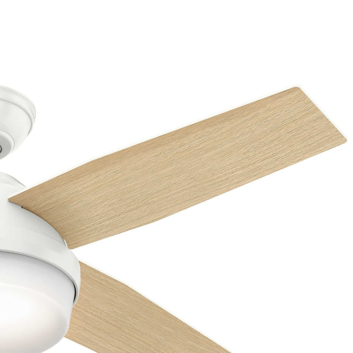 Dempsey with LED Light 44 inch Hunter Fan Canada
