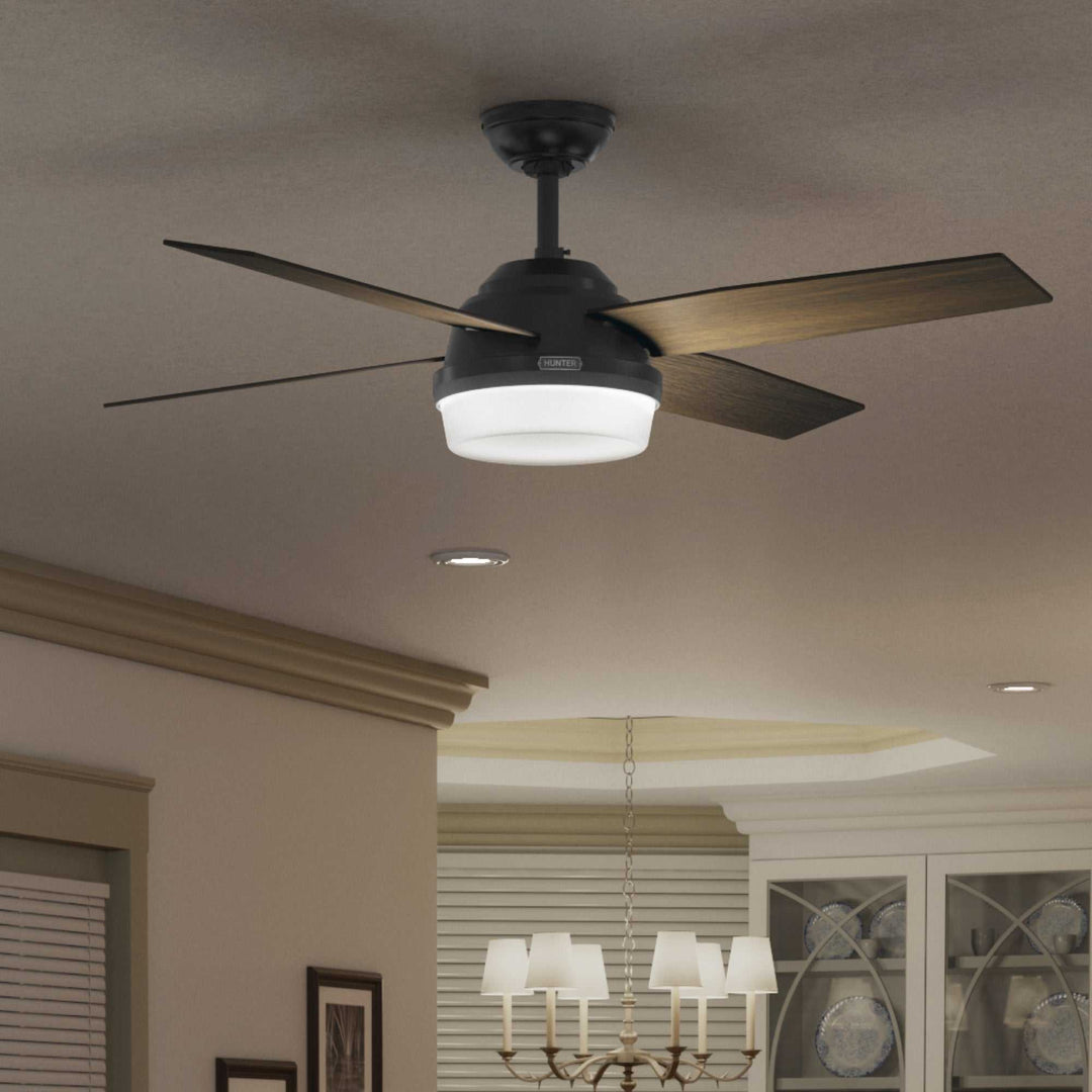 Dempsey Outdoor with Light 52 inch Hunter Fan Canada