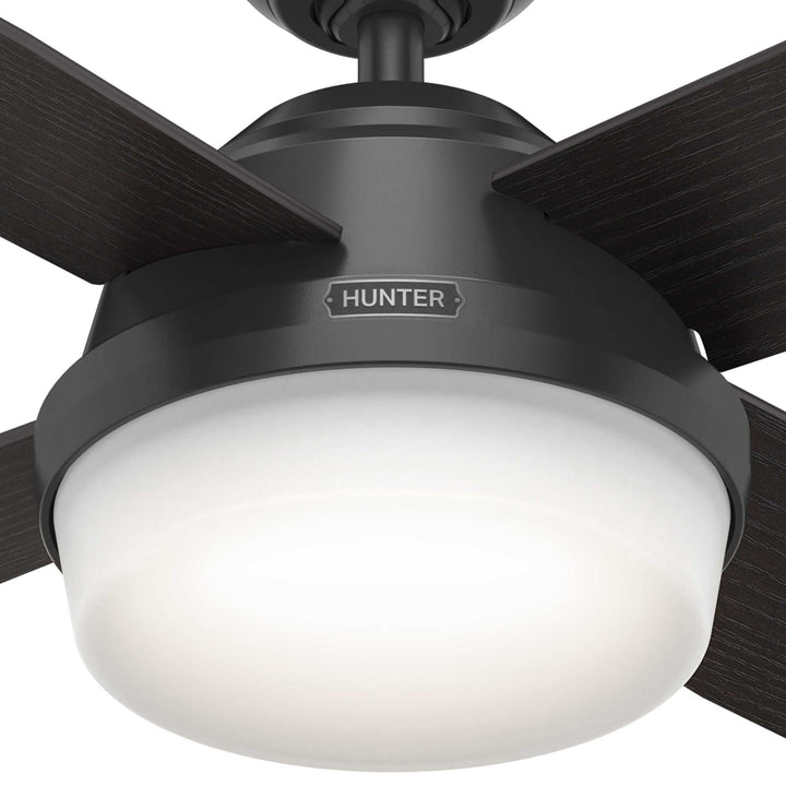 Dempsey Outdoor with Light 52 inch Hunter Fan Canada