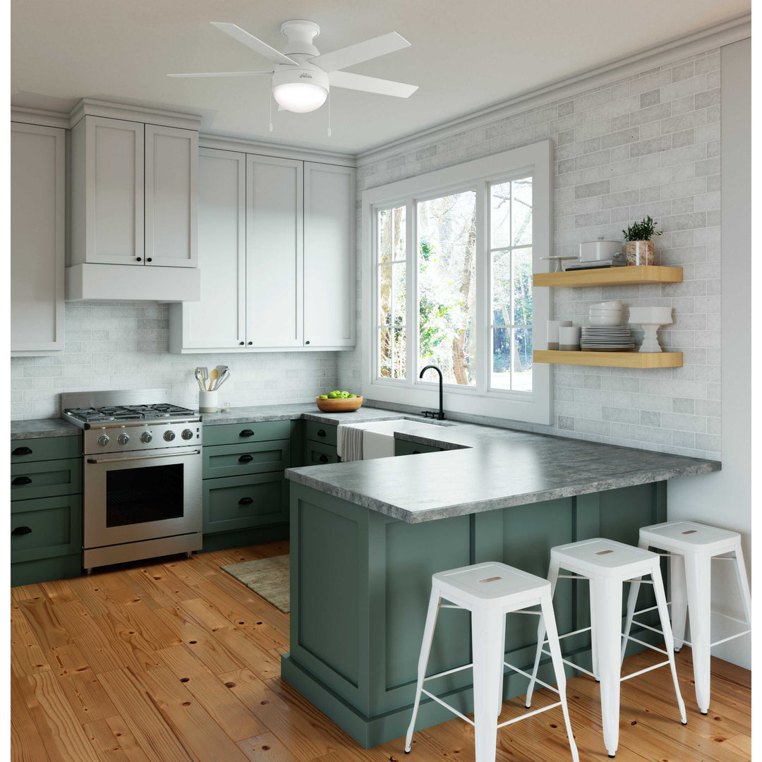 Anslee Low Profile with LED Light 46 inch Hunter Fan Canada