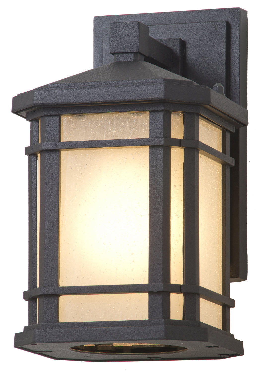Cardiff Outdoor One Light Outdoor Wall Sconce in Black w/Sandblasted Seedy Glass - available from The Lighting Shoppe, trusted by Canadian homeowners